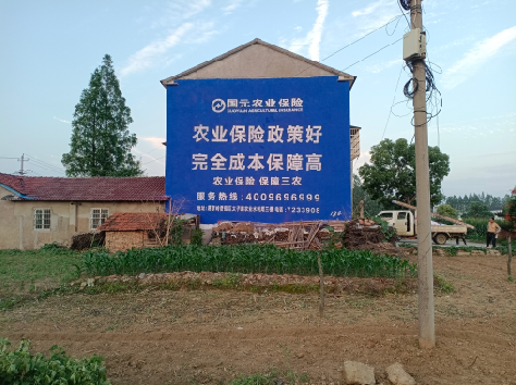 崇仁墙体广告为何受追捧?